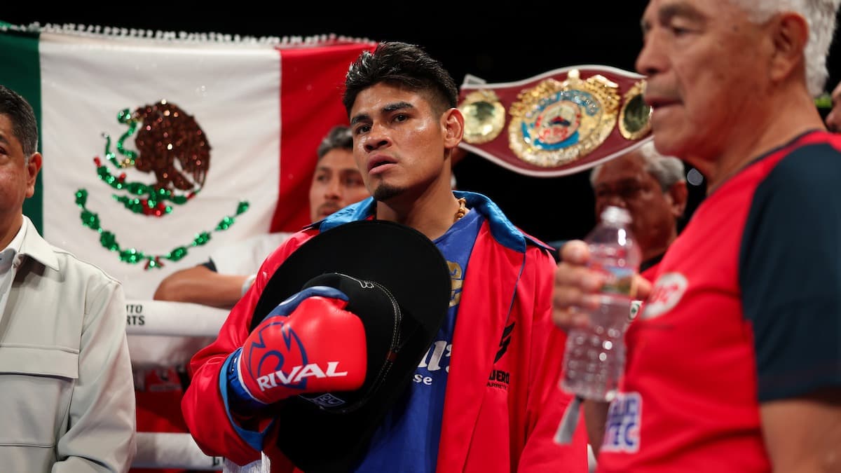 WBO: Lomachenko can fight Navarrete after Suarez gets his shot