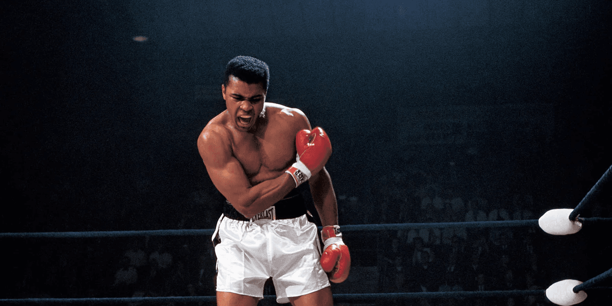 WHERE FANS BECOME CHAMPIONS