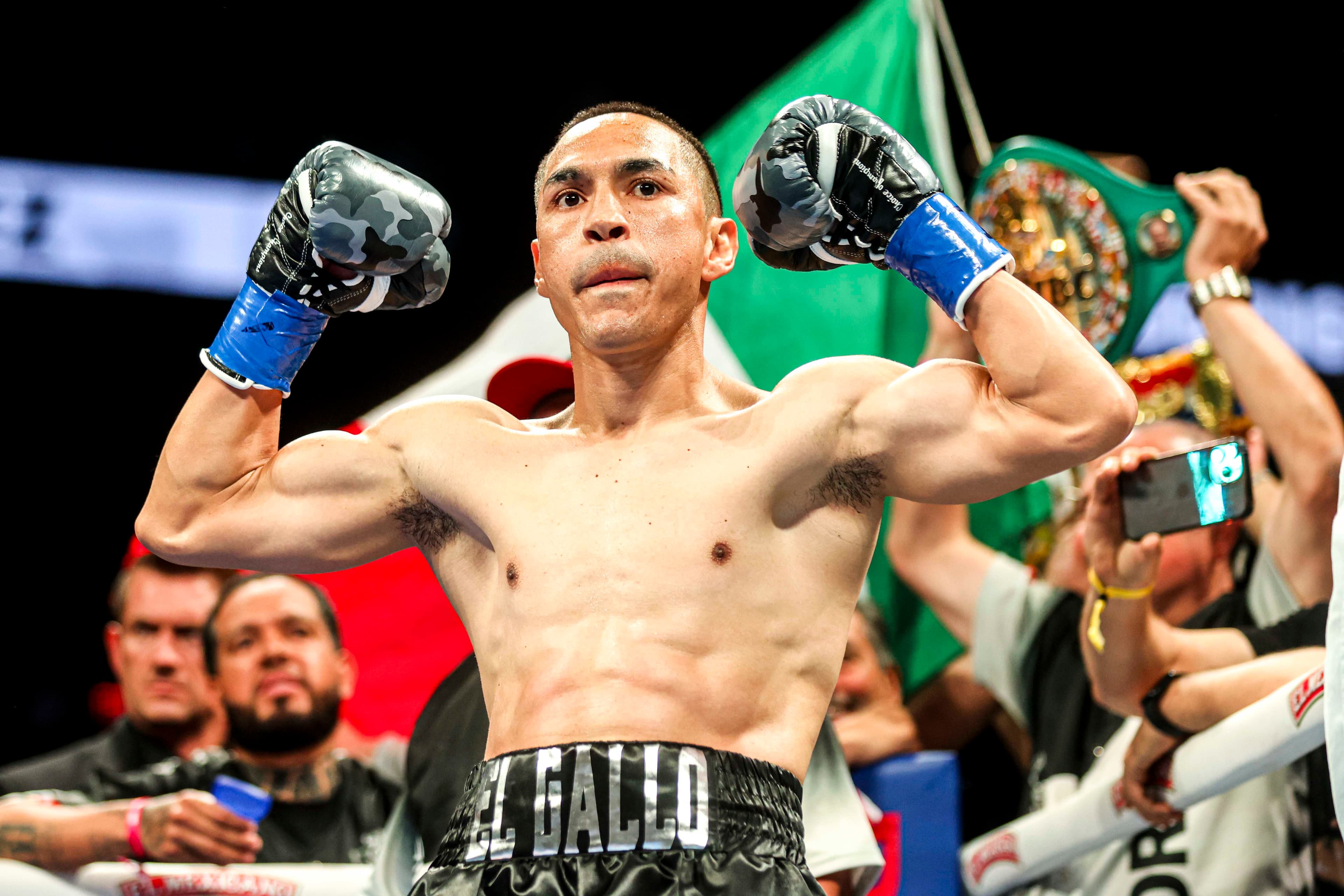 Estrada vs. Nasukawa WBC title eliminator set for Apr. 10 in Japan