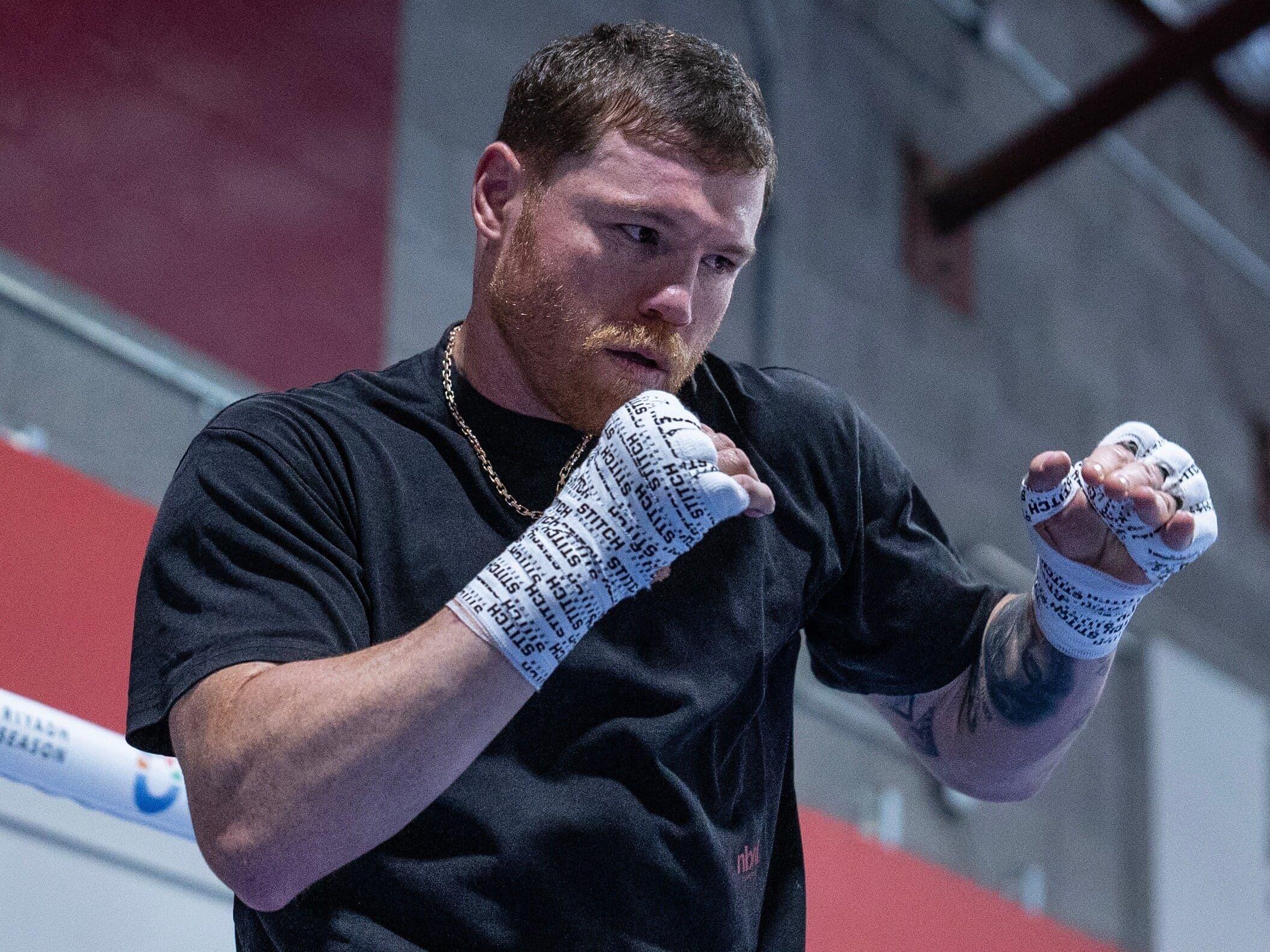 Terence Crawford Happy With Canelo-Ennis Union: 'Shows He's Taking Me Serious'